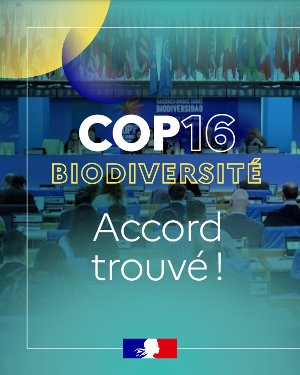 Revue de presse / 3 mars 2025